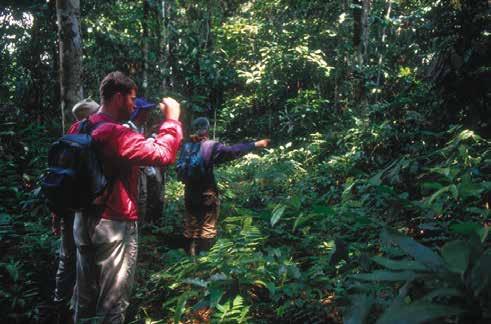 Inkaterra Reserva Amazónica ofrece varias excursiones a la carta, con una duración de cuarto de día, medio día o un día, y en tres niveles de intensidad.