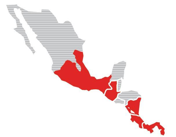 Nuestra presencia División México y Centroamérica México y Centroamérica ~93 millones de consumidores ~1 millón de puntos de venta ~11,400 mm transacciones (1) ~2,000 mm de cajas unidad (1) ~US$4,200