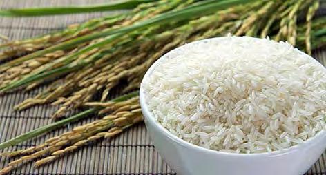 respectívamente) de ahí que por las Tablas Aduaneras, a las importaciones de arroz no se les aplicaba derecho alguno (0%); en setiembre el precio de referencia cae a US$ 389/ tm, ubicándose por