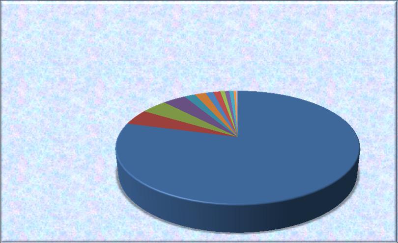 JUGUETERIA, 0,69% LIBRERÍA, 0,34% RELOJERIA, 0,17% ARTESANIA, 0,10% MUSICA, 1,73%