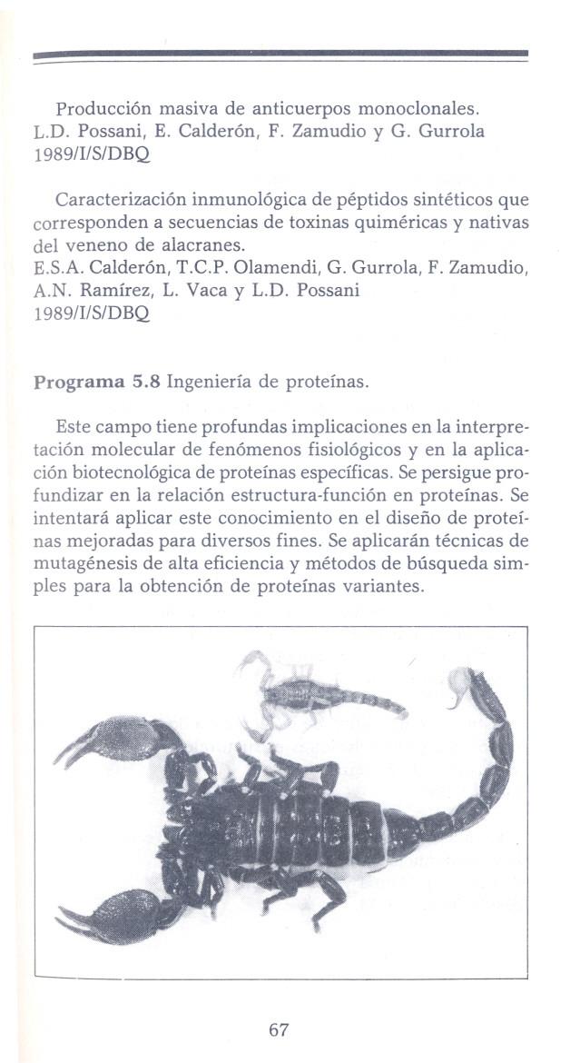 Producción masiva de anticuerpos monoclonales. L.D. Possani, E. Calderón, F. Zamudio y G.