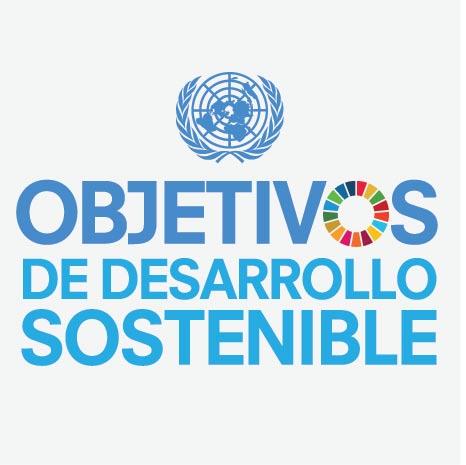 Objetivos del Desarrollo Sostenible En la Cumbre para el Desarrollo Sostenible, que se llevó a cabo en septiembre de 2015, los Estados Miembros de la ONU aprobaron la Agenda 2030 para el Desarrollo