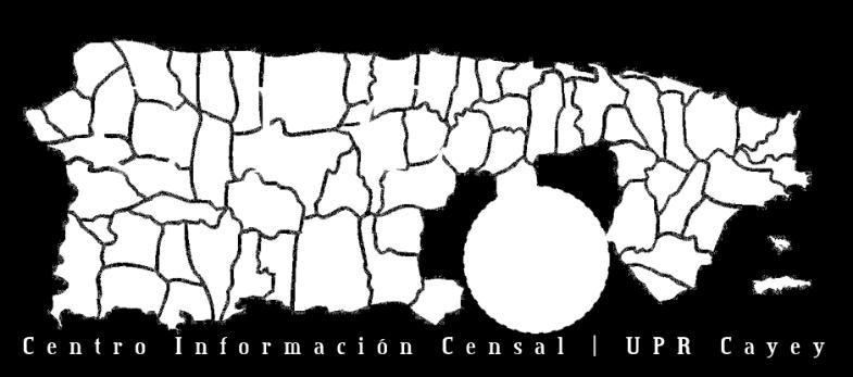 UNIVERSIDAD DE PUERTO RICO EN CAYEY INSTITUTO DE INVESTIGACIONES INTERDISCIPLINARIAS Centro de Información