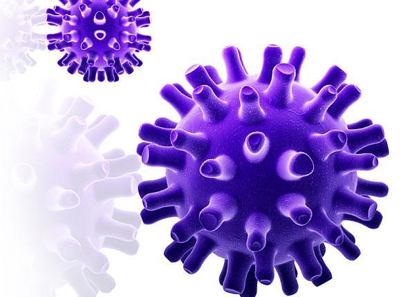 Infección por virus Varicela zoster Estudios serológicos en población holandesa demuestran casi 100% de serología positiva para
