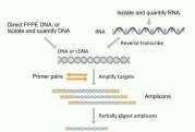 purificación de DNA/RNA/cDNA/DNA metilado Tagmentación PCR multiplex Generar Librerias Control de calidad - Cuantificación - Mezcla de librerías Generar Librerias