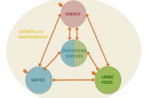 Área 5: Nexo Agua- Alimentos- Energía- Ecosistemas Antecedentes: Creciente presión sobre recursos naturales en cuencas transfronterizas.