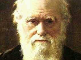 Perspectiva evolutiva Darwin El origen de las especies La