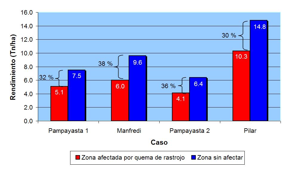 Específicamente las pérdidas fueron de 2.4 t/ha en los casos Pampayasta 1 y 2 que poseen en suelos clase VI y en secano, en el caso Manfredi 3.6 t/ha sobre un suelo clase III y en secano y 4.5 Tn.