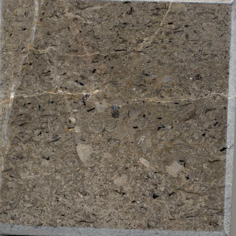 Fotografía 41. Mosoico de caliza, con abundante contenido de fósiles. La Fe (VDZ-25A) En la localidad La Fe, ubicada a 14.