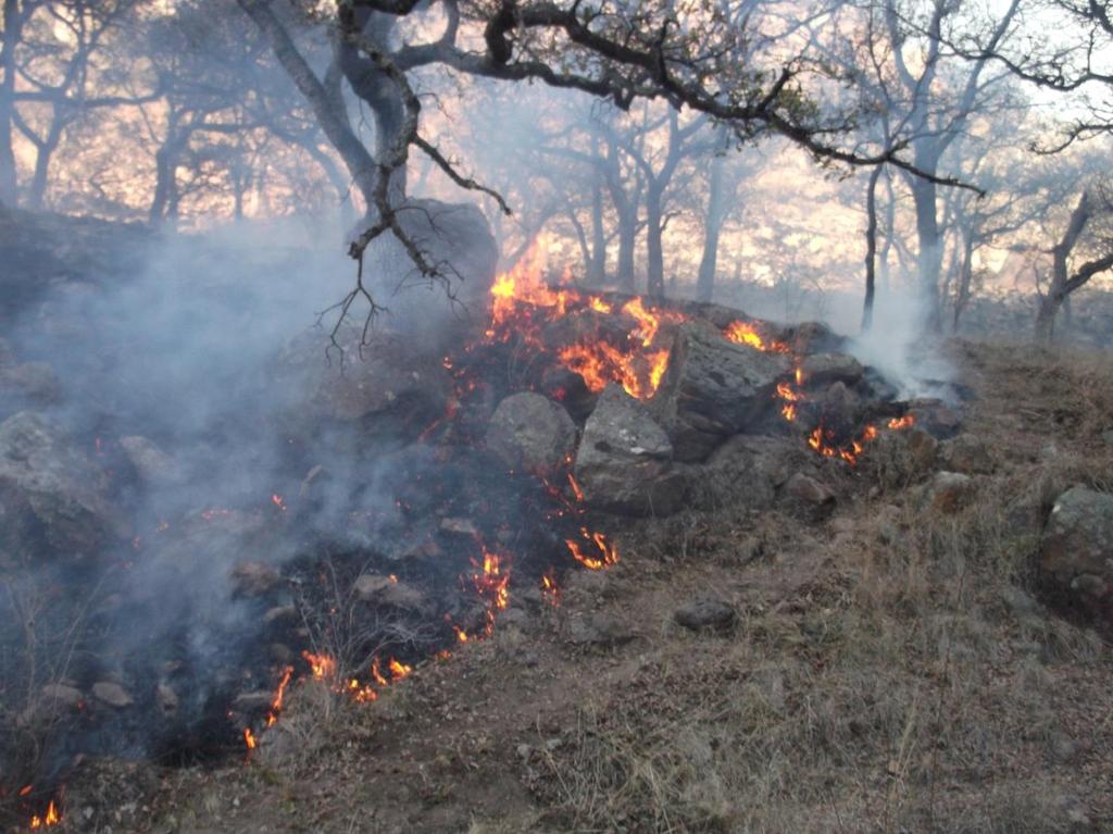 Atención de un incendio forestal en el Área de Protección de Recursos Naturales Cuenca Alimentadora del Distrito Nacional de Riego 043 Estado