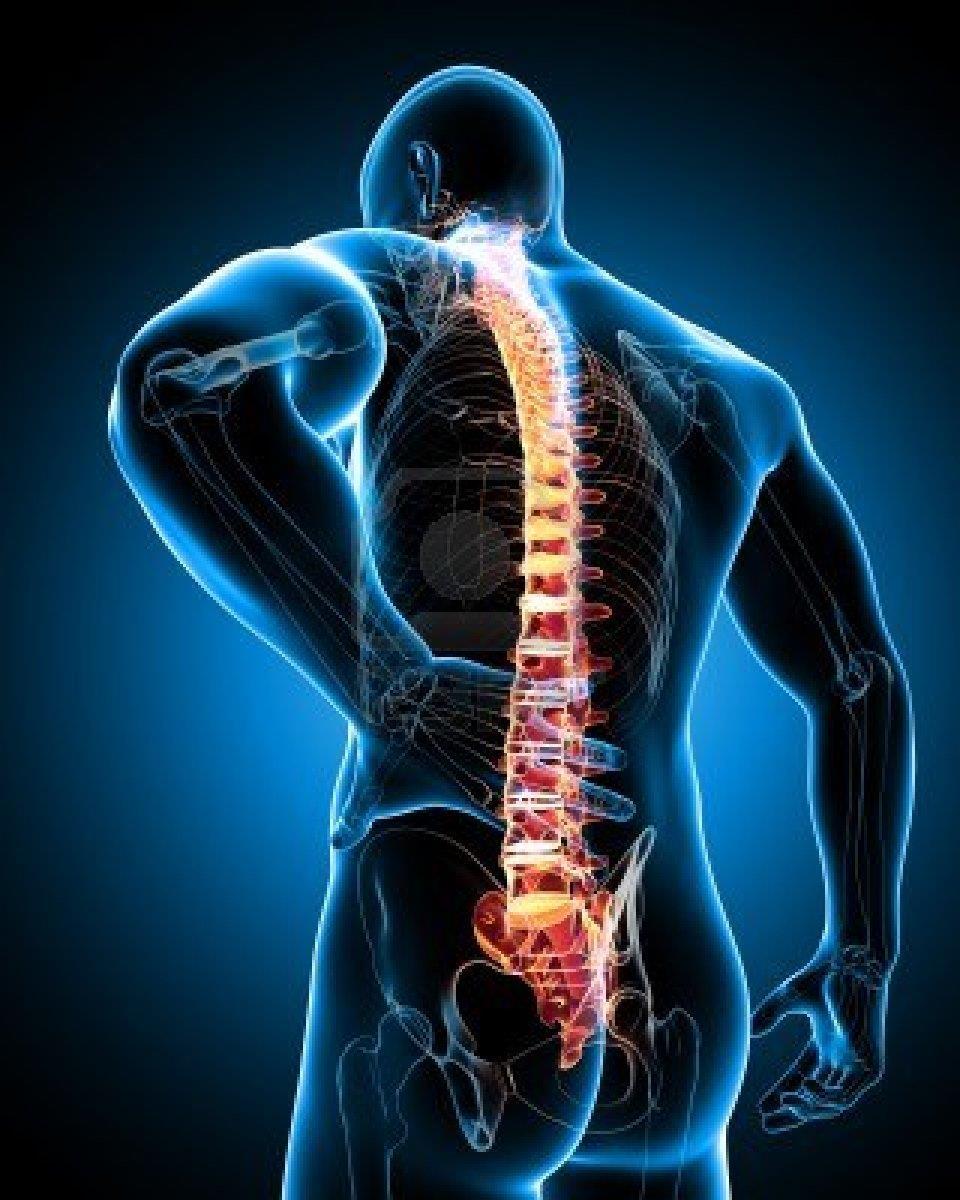 El 80% de la población sufrirá al menos un episodio de dolor espalda Vértebras Lumbares