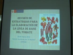 2015: Servicio para la exploración biológica del tomate nativo cultivado en la región San Martín.