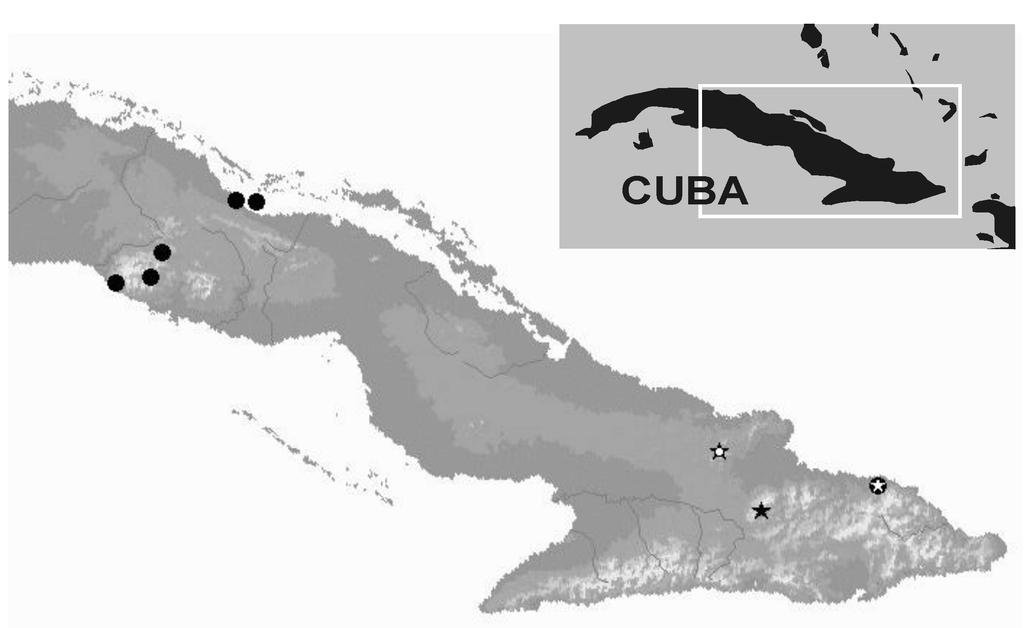 Tres nuevos Centruroides de Cuba 105 Fig. 28. Distribución de Centruroides navarroi sp. n. ( ), Centruroides melanodactylus melanodactylus sp. n. (E), Centruroides melanodactylus galano ssp. n. ( ) y Centruroides stockwelli sp.