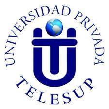 UNIVERSIDAD PRIVADA TELESUP FACULTAD DE CIENCIAS ADMINISTRATIVAS Y CONTABLES PLAN DE ESTUDIOS
