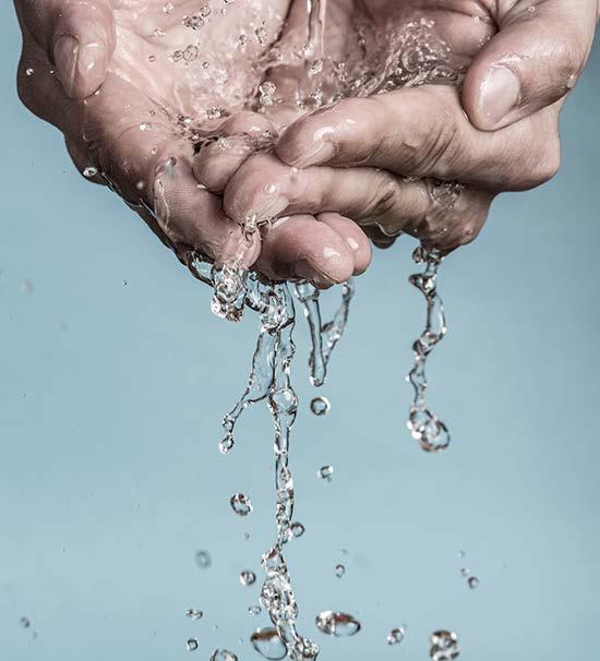 DWSAPP En 2002, Cal Water presentó ante la División de Agua Potable (DDW) un informe del Programa de Protección y Evaluación de las Fuentes de Agua Potable (DWSAPP) para cada fuente de agua del