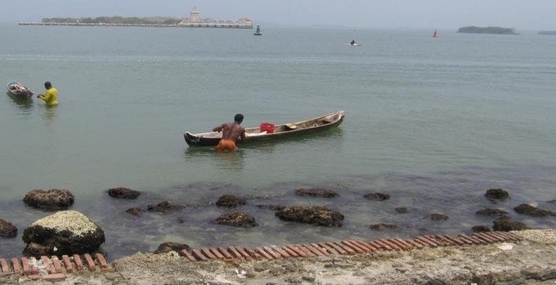 actividad promedio diaria por arte de pesca en el sitio de desembarco Bocachica. (Feb.