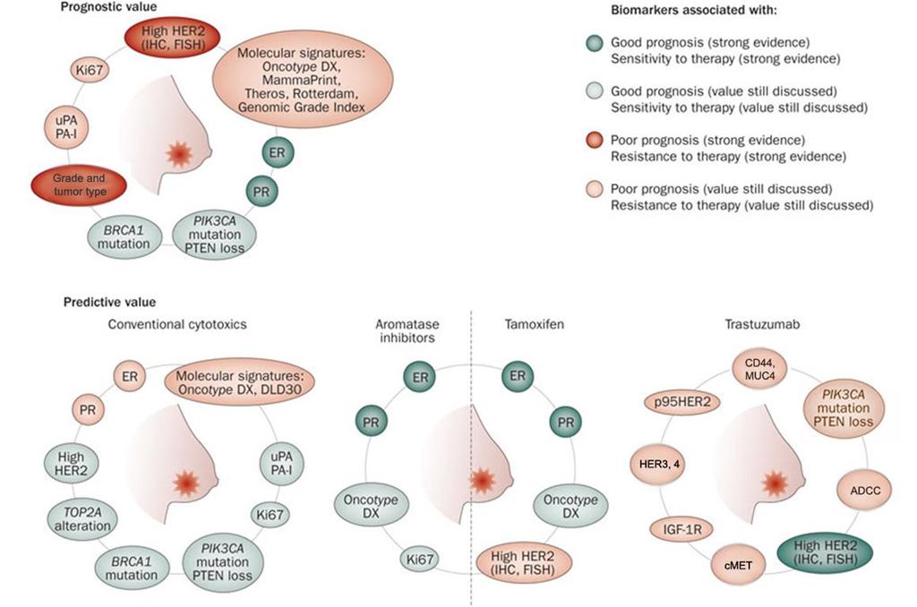 State of the art in prognostic and predictive biomarkers in
