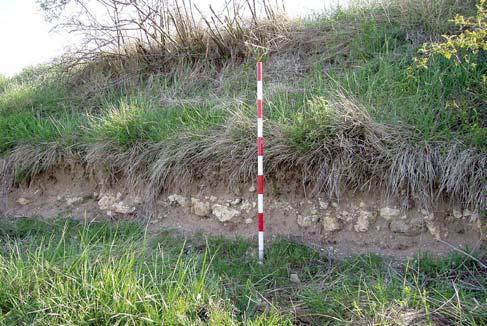 viae tratamiento arqueológico de las vías romanas mente sobre la capa de rodadura, así como sobre la capa de regularización superior de la cimentación, obteniendo una documentación en diferentes