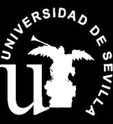 Seville (Spain) 2015 present Associate researcher University Científica del Sur (Perú) 2014 present Associate researcher University Autónoma de Chile (Chile) 1994-2001 Assistant Professor University