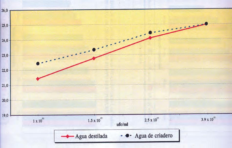 Mortalidad larvaria de Culex quinquefasciatus vs concentración de Bacillus