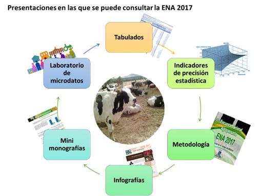 Resultados Los productos que muestran tanto el proceso como los Resultados de la ENA 2017 son: tabulados, indicadores de precisión estadística, la Metodología, infografías, minimonografías y