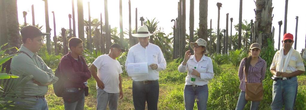 Educación Fitosanitaria Recursos - Convenios Empresariales, MADR, ICA - Alianza con PTP - FFP Acciones: Acercamiento a un mayor número de palmicultores y otros actores de la cadena de producción.