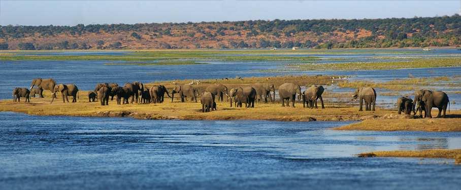 PARQUE NACIONAL DEL CHOBE El rio Chobe constituye el límite Norte del Parque Nacional, con una rica y extensa variedad de especies de la fauna africana.