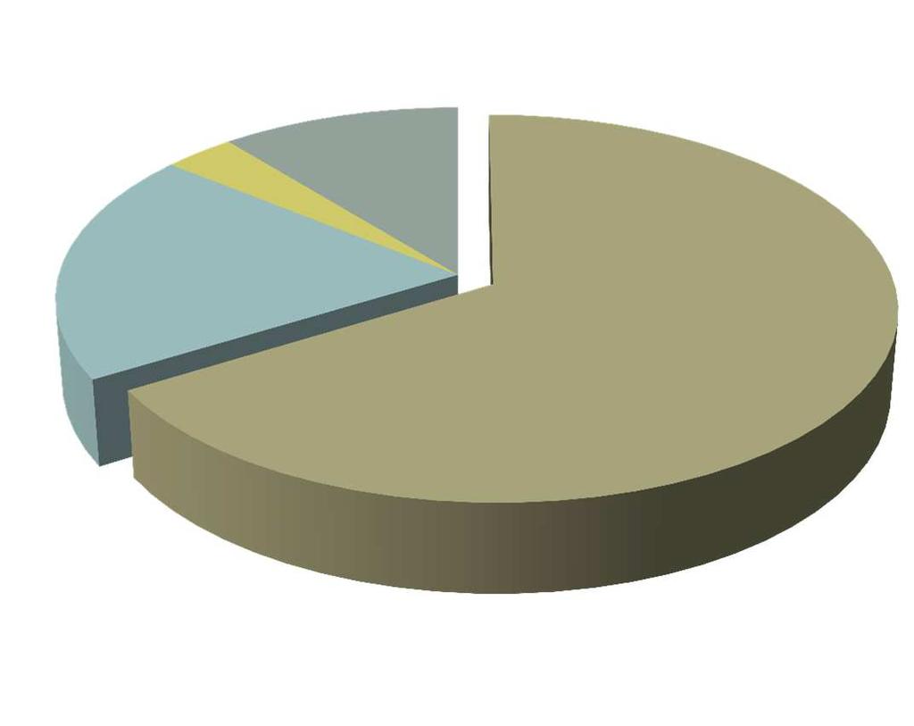 Colectivos destinatarios Colectivos destinatarios de la intervención 18; 20%