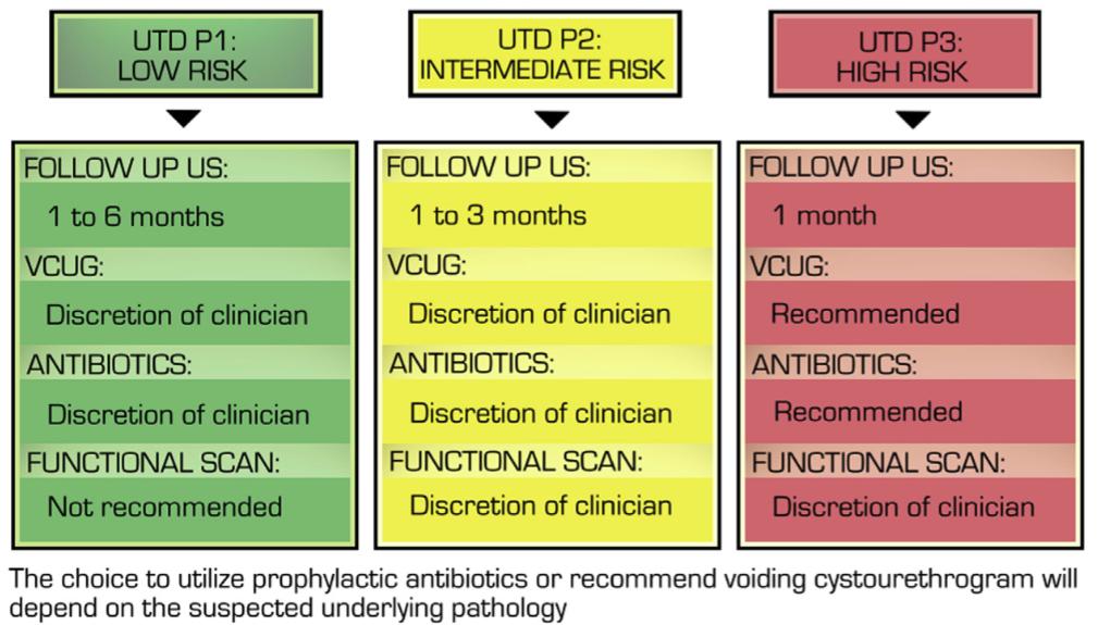 Sistema de clasificación de dilatación del tracto urinario (UTD) Nguyen HT, et al.