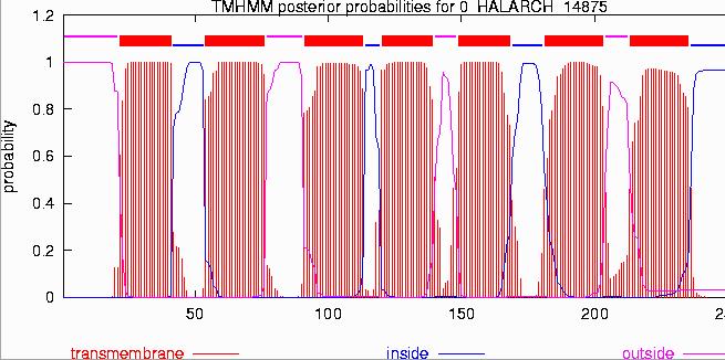 ch/tools/ : SignalP predicción de péptidos señales ChloroP predicción de péptidos de cloroplastos MITOPROT predicción de secuencias
