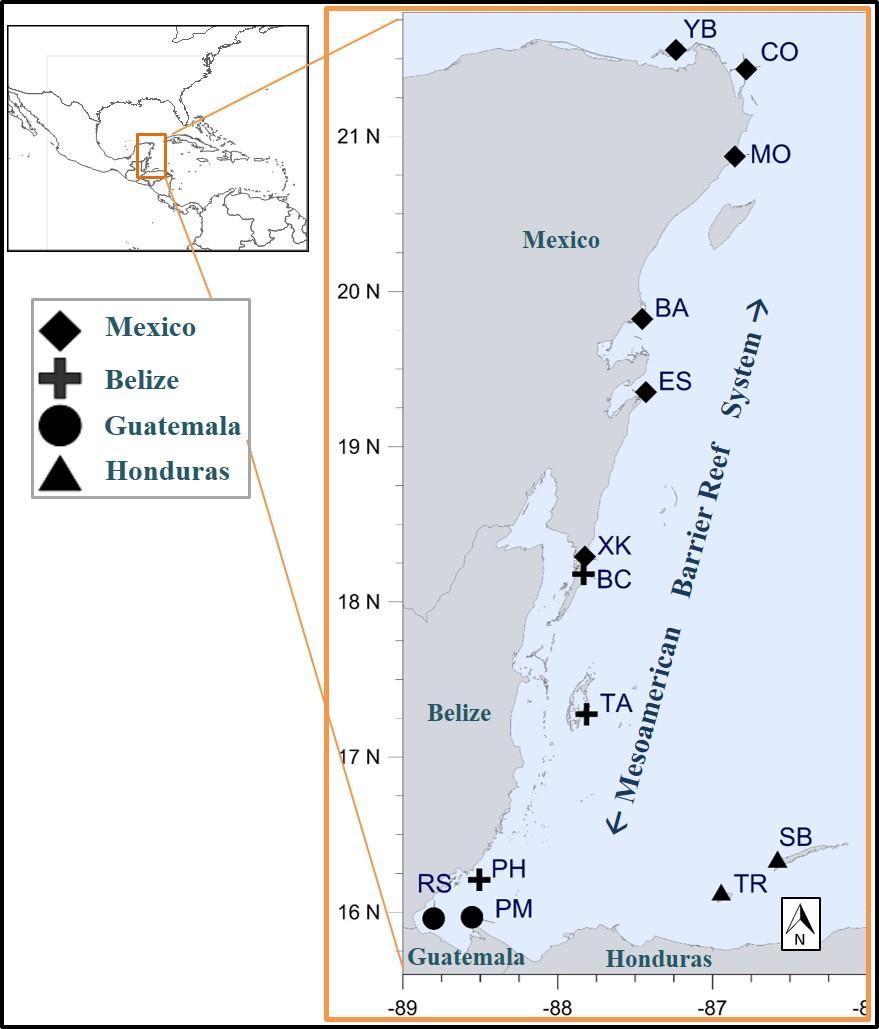 11 Región del Arrecife Mesoamericano, con la finalidad de que sean consideradas las propuestas y necesidades de las AMP de la región. Figura 2.