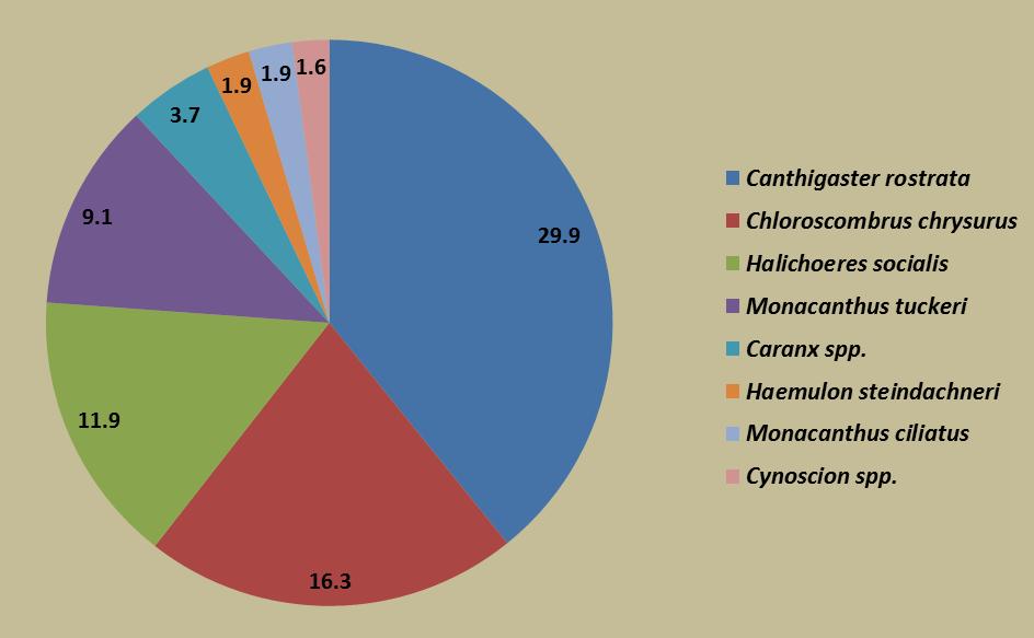 24 Figura 11. Porcentaje de abundancia (%) de los géneros y especie de peces (larvas, postlarvas y juveniles) más abundantes en el SAM durante ECOME 1-5. Figura 12.