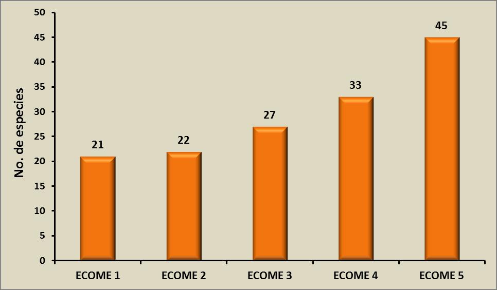 31 3.5. Riqueza de especies por ejercicio ECOME La riqueza específica prácticamente varió de 21 especies en el ECOME 1 a 45 especies en el ECOME 5 (Fig. 21).
