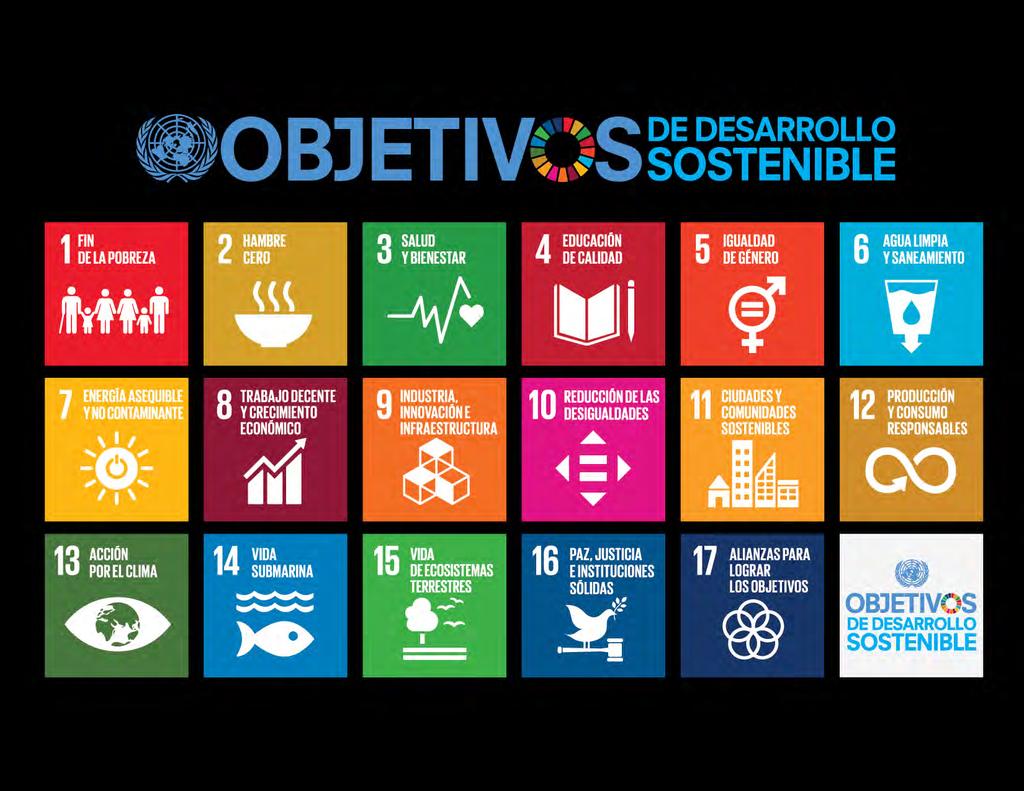 En septiembre de 2015, en la Cumbre sobre el Desarrollo Sostenible de Naciones Unidas, 193 Estados del mundo aprobaron los 17 Objetivos de Desarrollo Sostenible (ODS).