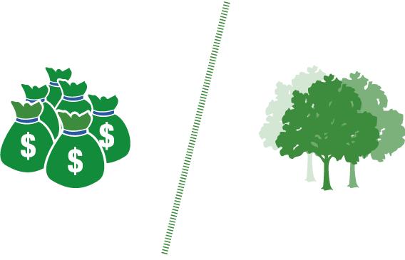 Por qué REDD+ fracasaría en frenar la deforestación? Simples principios económicos.