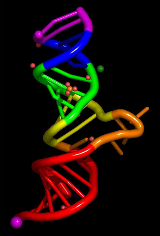 ADN ARN Imagen:
