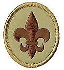 SIN cambios Resumen de los cambios a Boy Scouting Rangos actuales o enfoque (T-1 concurrente; S-E secuencial) Uso del programa de insignias de mérito CAMBIOS Scout se vuelve un rango Incorporaciones:
