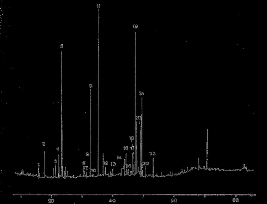 Influencia del tostado (I) Cromatograma de compuestos
