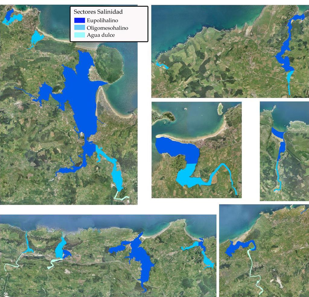ANEJO V. MÉTODOS TÉCNICOS Figura C.9. Sectores de salinidad en los estuarios de los LICs acuáticos de Cantabria.