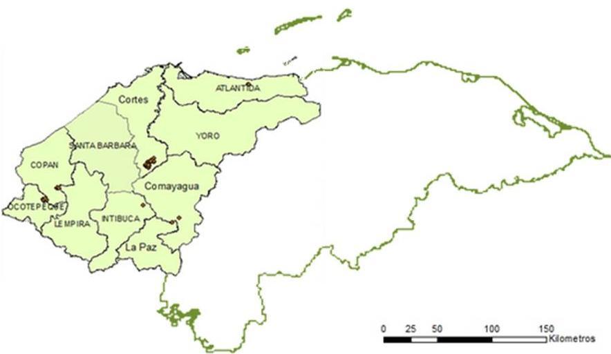 DISTRIBUCIÓN Y ÁREAS SEMBRADAS En Honduras la producción de piña se encuentra distribuida en seis de los diez y ocho departamentos: La Paz, Intibucá, Cortés, Atlántida, Copán y Ocotepeque,