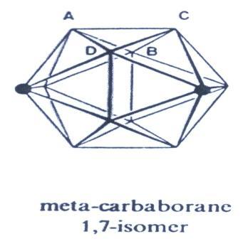 COMPLEJOS METÁLICOS DE CARBORANOS Aniones carborano nido y arachno complejos con metales de transición Los isómeros 1,2- y