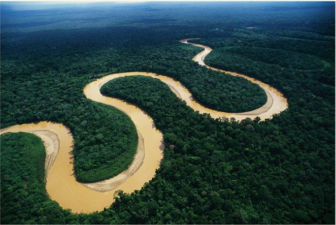 2007 la cuenca amazónica peruana alberga a 60 grupos étnicos con una población
