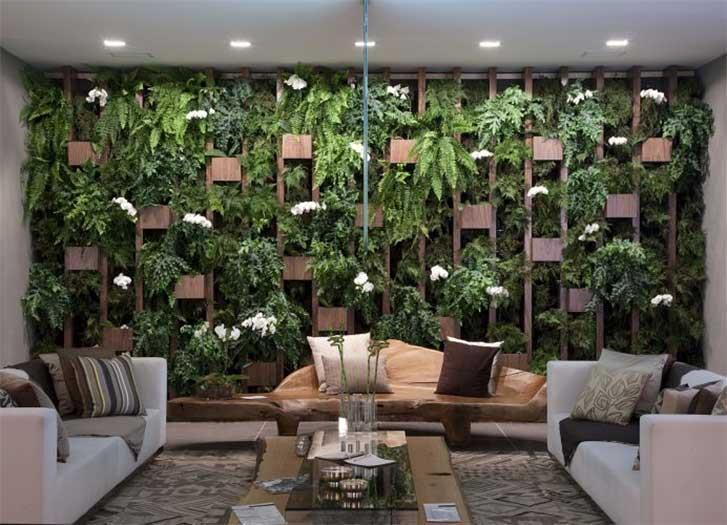 La orientación Las plantas que necesiten más luz se pueden poner en las habitaciones