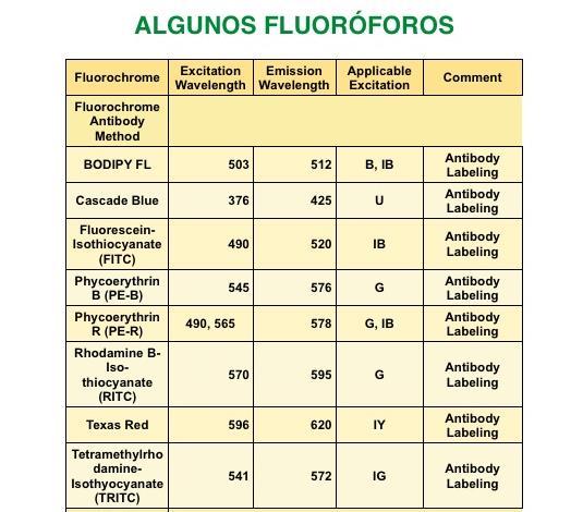 Fluoróforos Existen varios fluoróforos disponibles