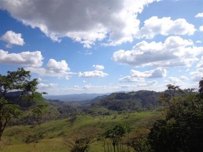 Observaciones sobre el sector cacaotero en Nicaragua -BORRADOR-