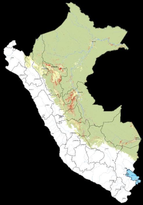 Hectáreas PERÚ NATURAL Pérdida de bosques 200,000 EVOLUCIÓN DEL TAMAÑO DE LA PÉRDIDA DE BOSQUE (2001-2016) 70% 180,000 160,000 60% 140,000