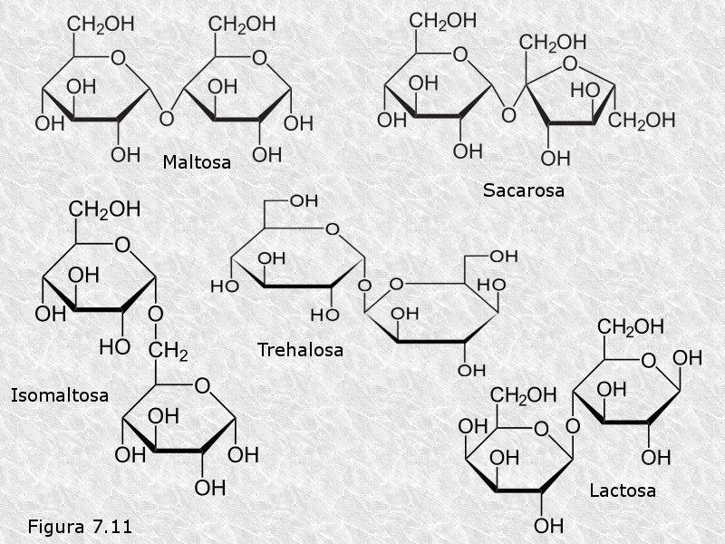 12 átomos de carbono carbonílicos y se pierde cuando éstos participan en un enlace glucosídico.