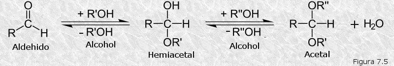 Este tipo particular de estereoisómeros reciben el nombre de anómeros o formas anoméricas y el átomo de carbono carbonílico, responsable de su aparición, el de carbono anomérico.