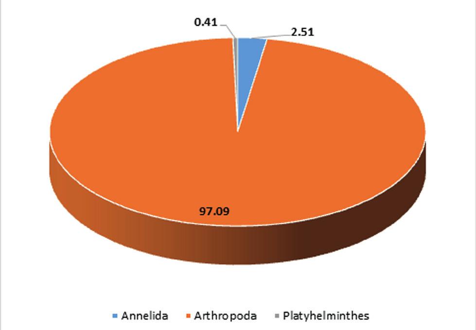 En términos de abundancia, el phylum Arthropoda fue el más representativo de los macroinvertebrados acuáticos evaluados para ambas épocas.