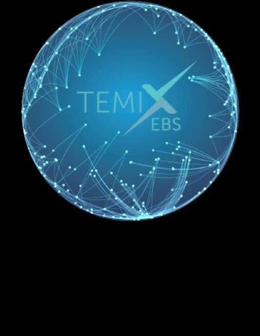 TEMIX Enterprise Business